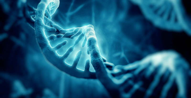 Genetica